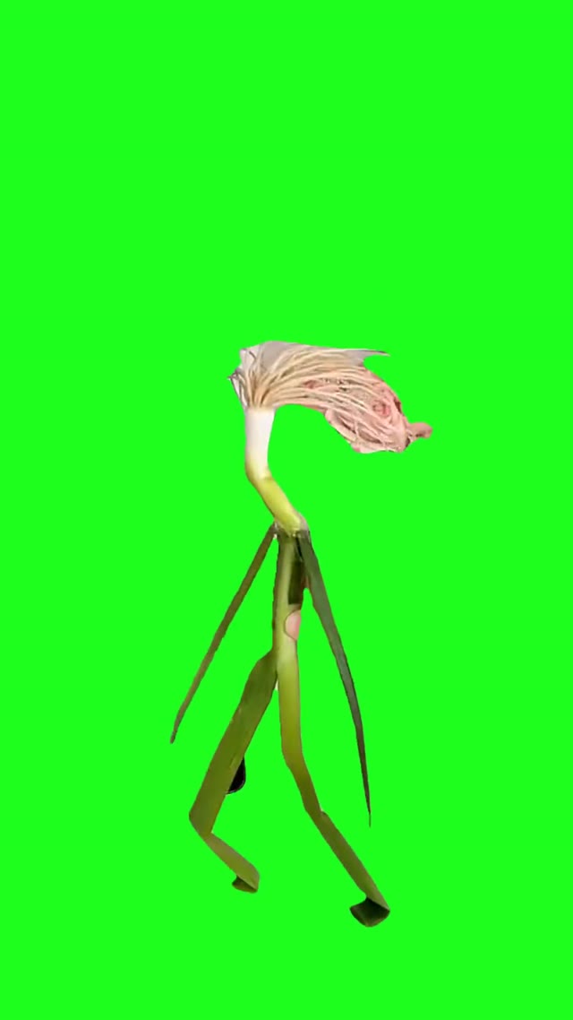 Haaland As Green Onion green screen
