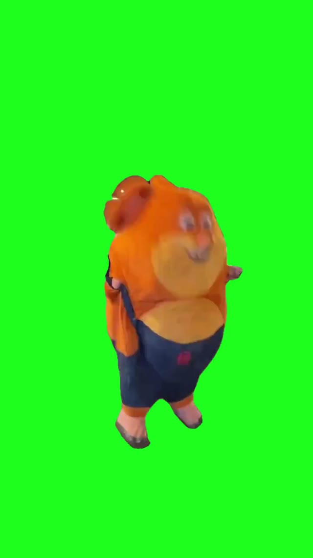 Hamster dancing green screen