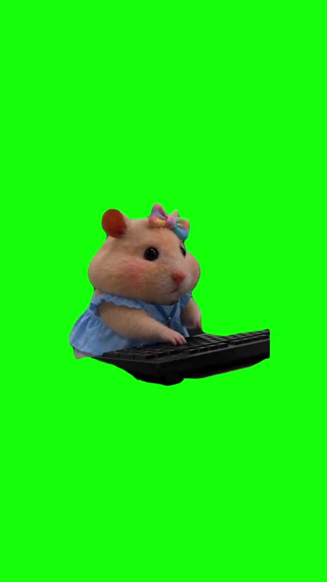 Hamster Hits Keyboard green screen