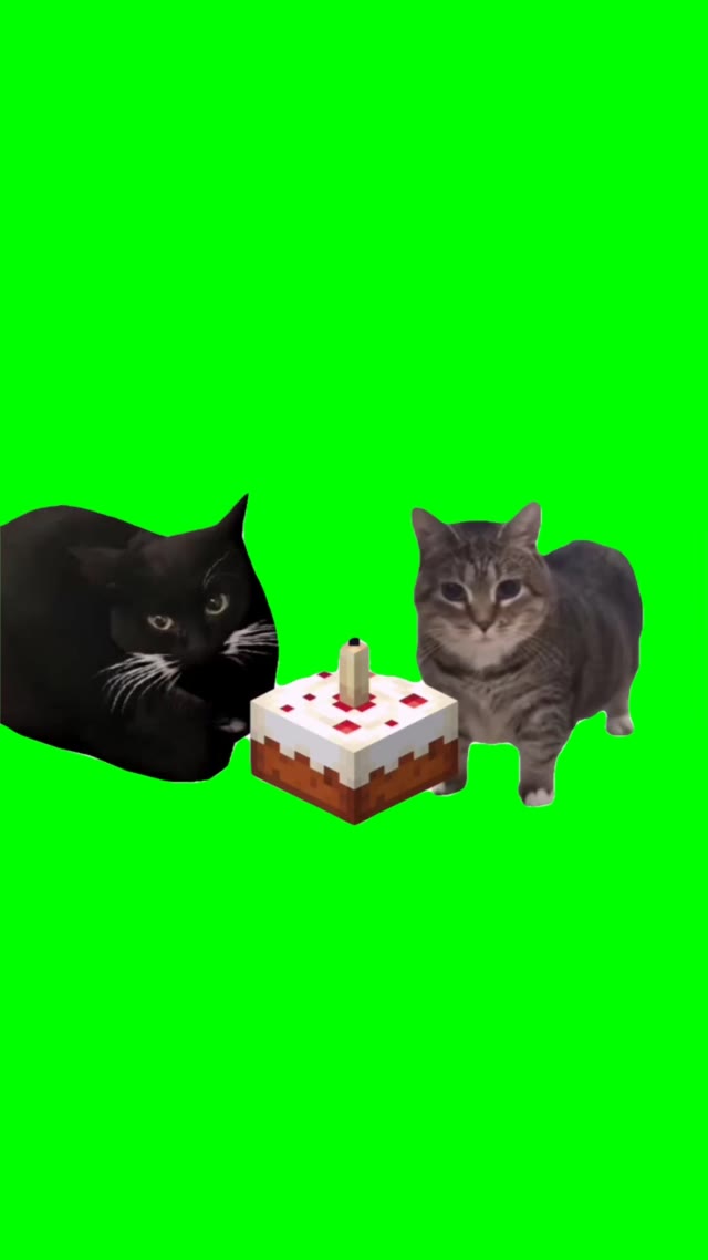 Happy Birthday ooiiaaa cats maxwell and fatehel green screen