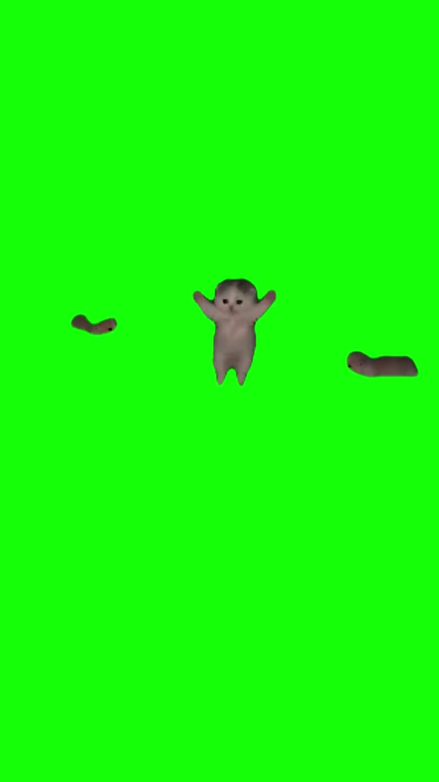 I Got That Feeling Kittens green screen