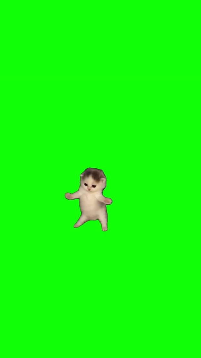 I Got That Feeling Kittens Dancing green screen