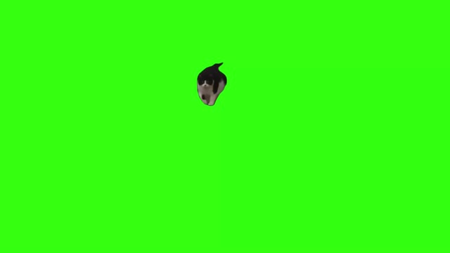 I like them chunky green screen