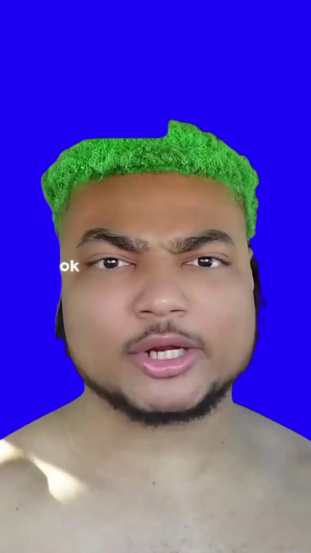 I look like a Minecraft dirt block green screen