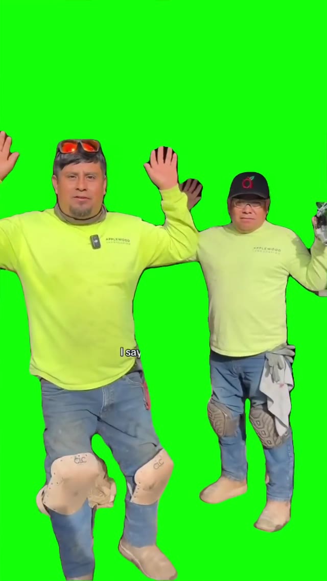 I say anything not my everything green screen