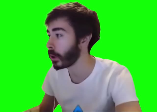 IT WAS A MISINPUT green screen
