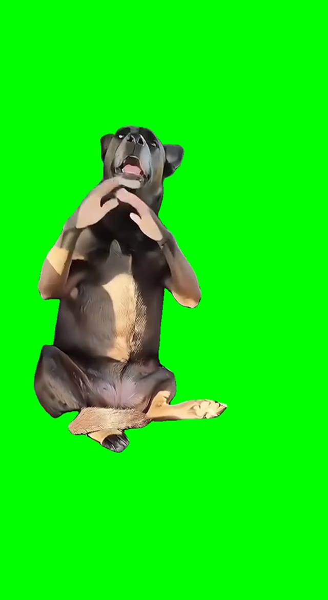 If You Grab Me Imma Bite You green screen