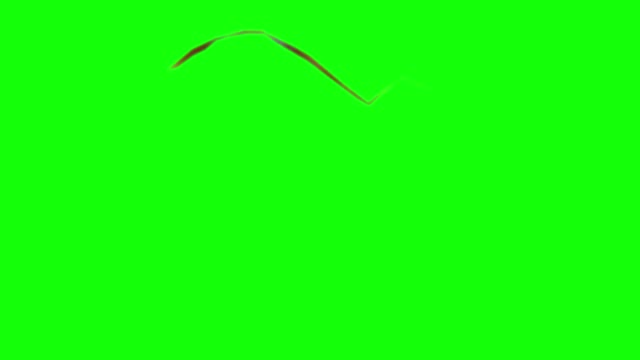 John Cena are you sure about that green screen