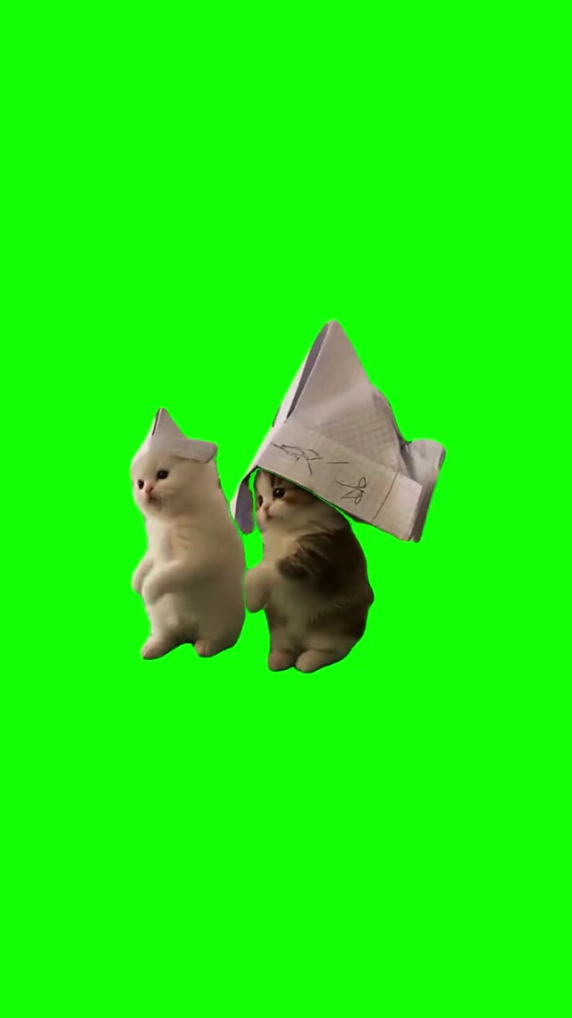 Kittens Professore green screen