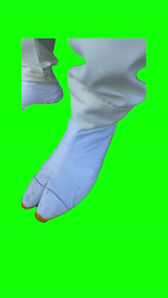 La Peace green screen