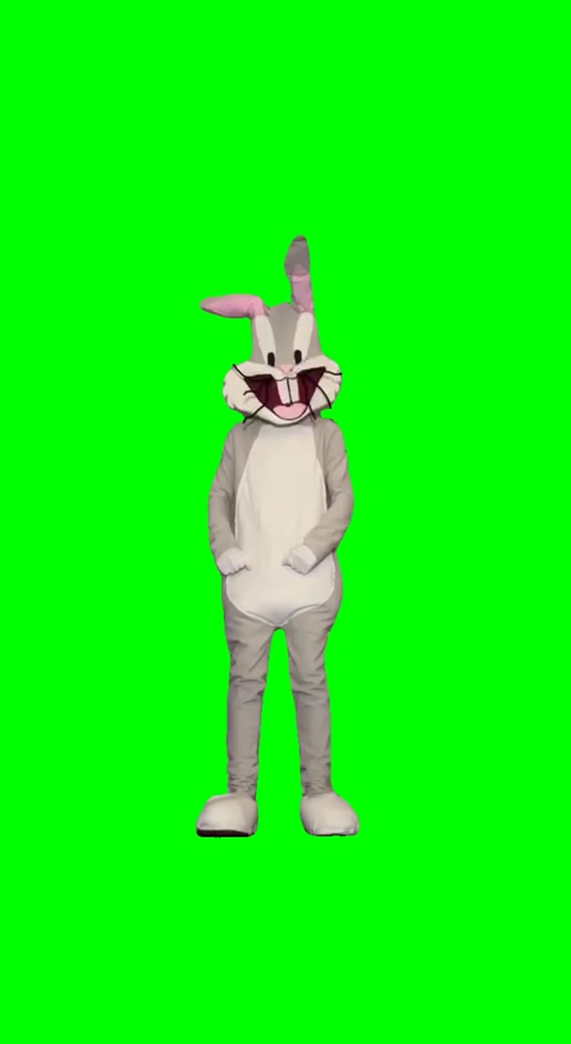 Lets Go Bugs Bunny green screen