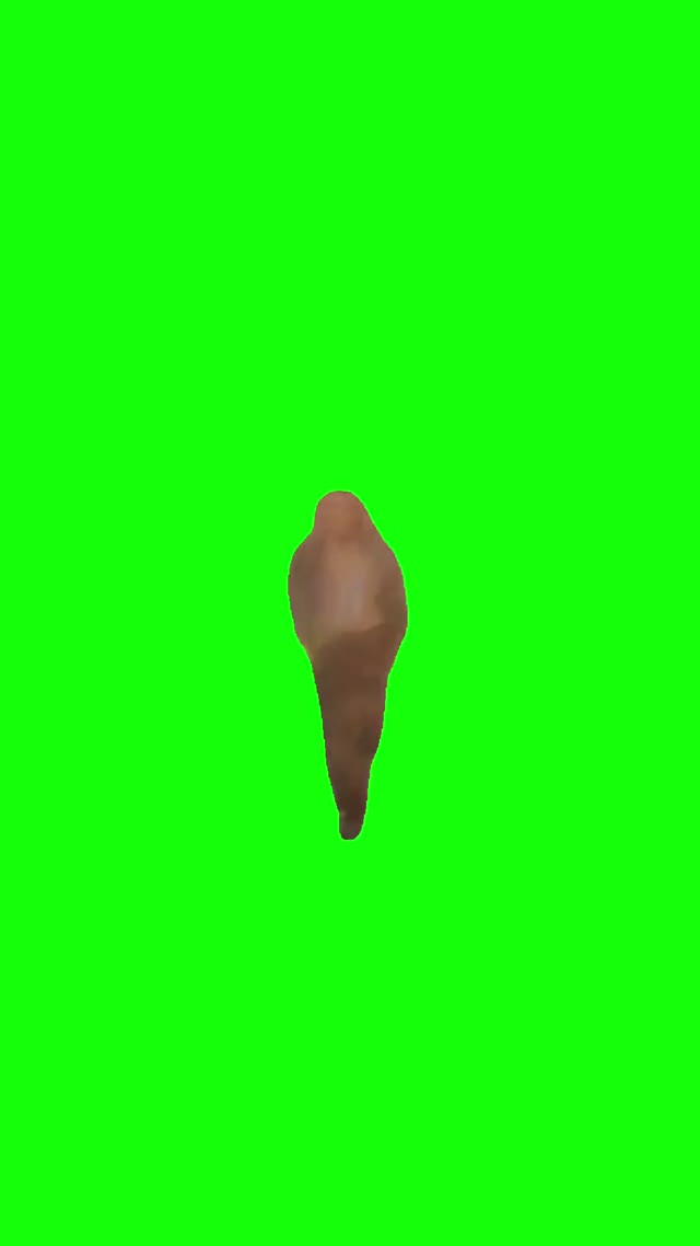 Loki Walking green screen
