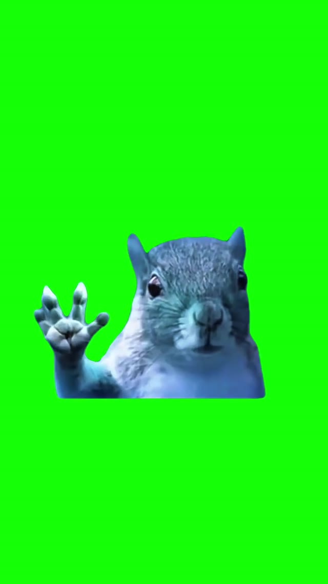 Man Of Steel Squirrel Waving green screen