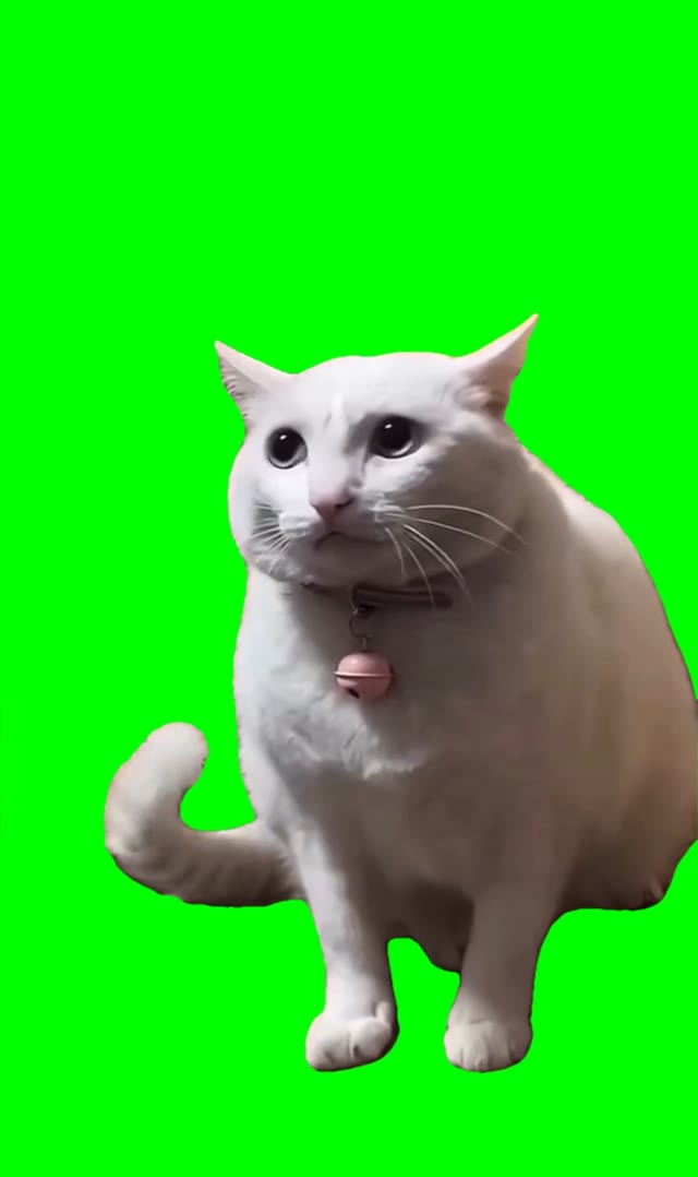 Mcat saying waw green screen