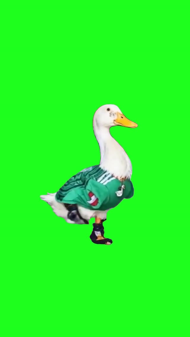 Merlin The Duck World Cup 2026 Superstar green screen
