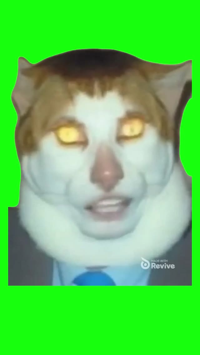 Monday Left Me Broken Cat green screen