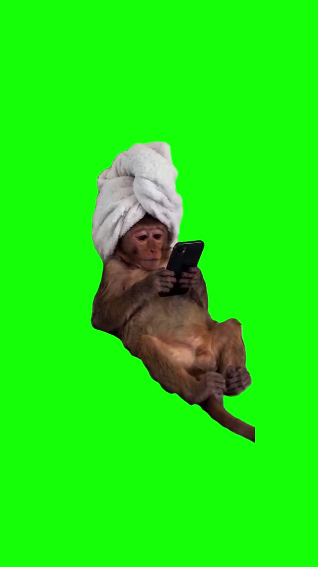 Monkey Doom Scrolling green screen