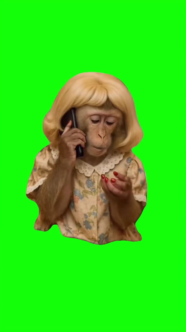 Monkey on the phone green screen