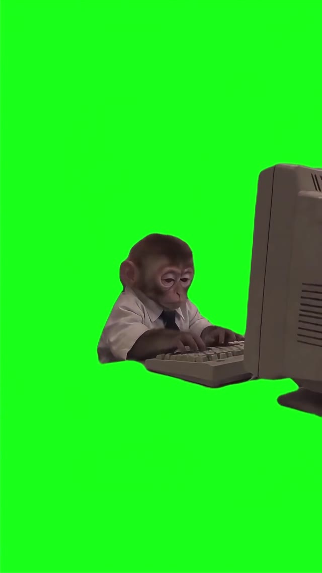 Monkey Slams Keyboard green screen