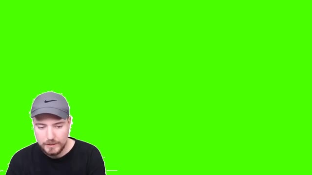 MrBeast20Hits20Subscriber20Goal20Green20Screen green screen