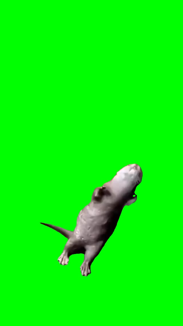 Nasty Girl dance green screen