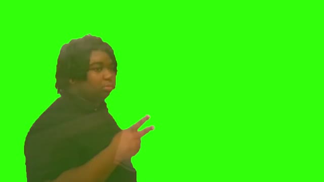 Nilesey Niles Disappear green screen
