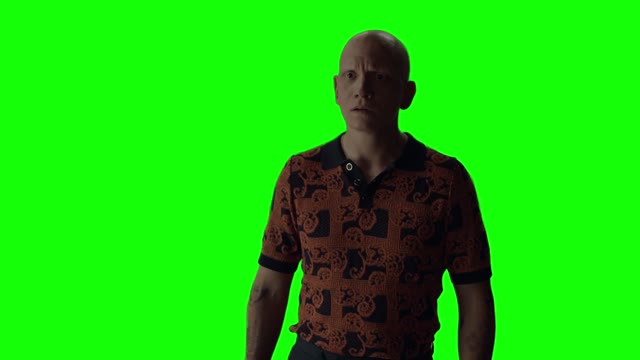 NoHo Hank surprised template green screen