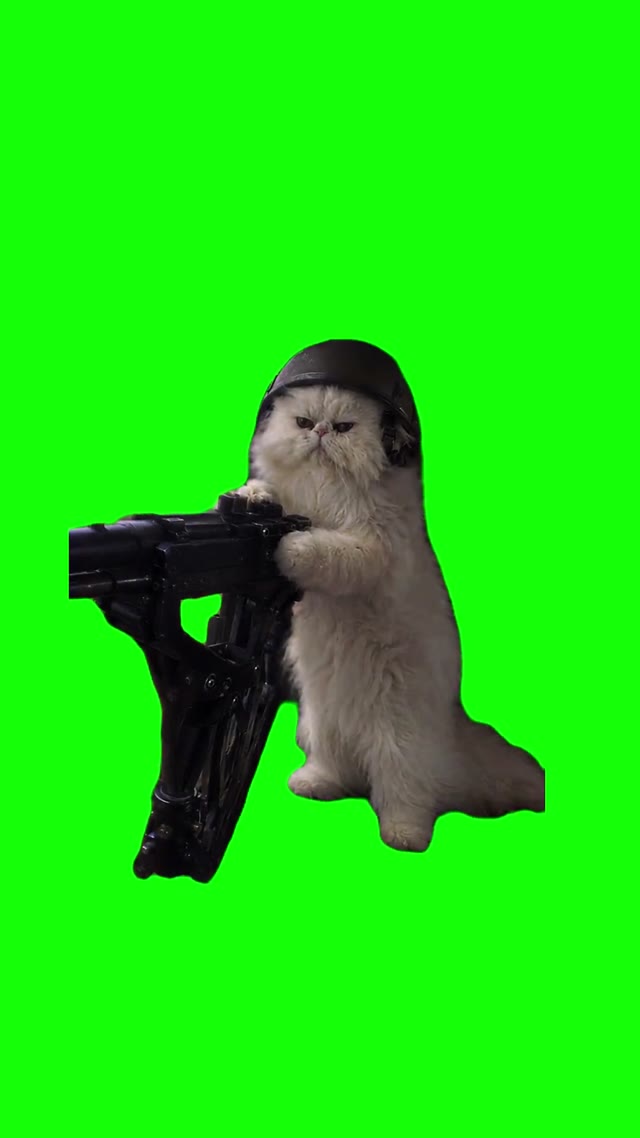 Oscar Shooting 50 Cal green screen