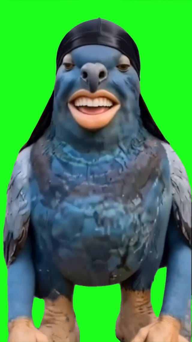 Pigeon King Nasir green screen