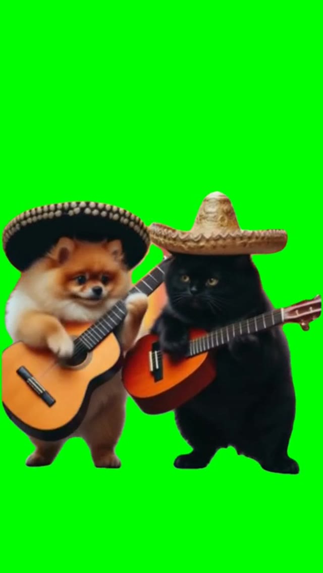 Puppy and cat playing Guitar green screen
