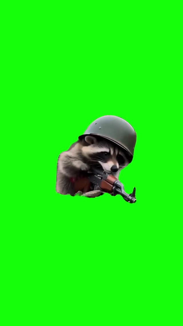 Raccoon Blasting Ak green screen