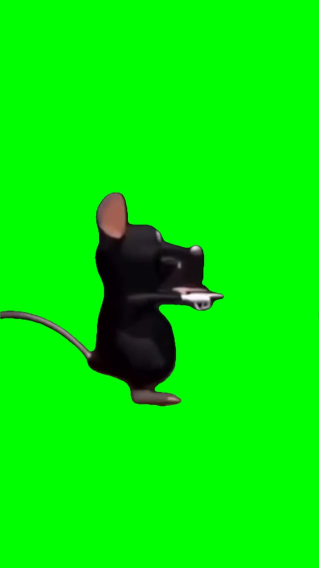 Rat dancing green screen