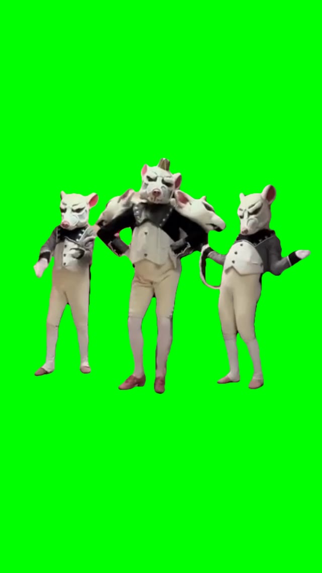 Rats dancing green screen