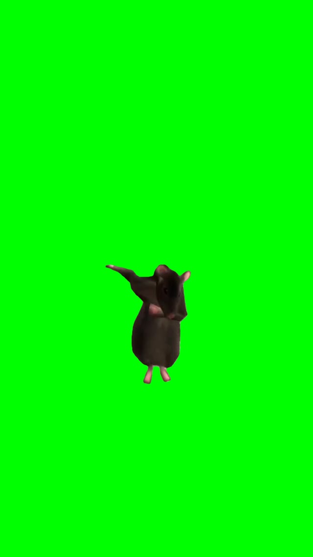 Rats sigma boy green screen