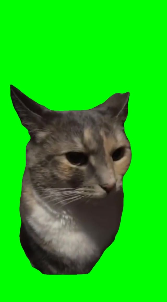 Realizing cat green screen