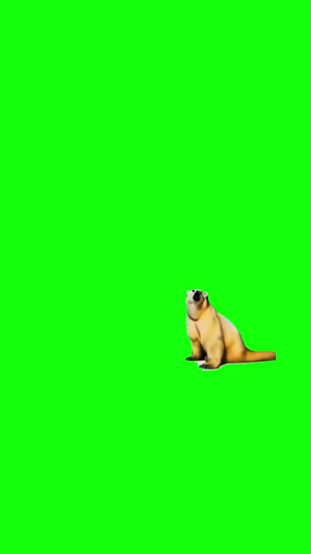 Remember November green screen