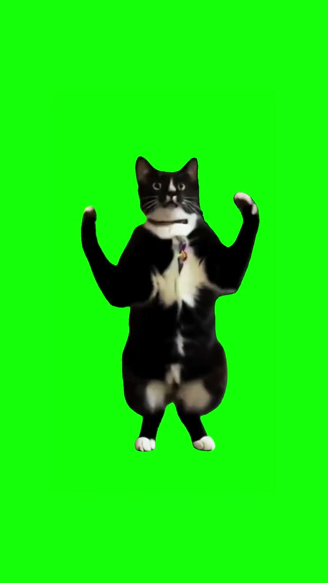 Right Thur Car green screen