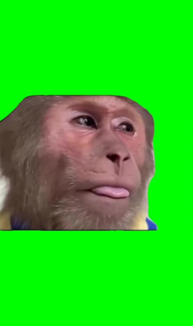 Sad monkey green screen
