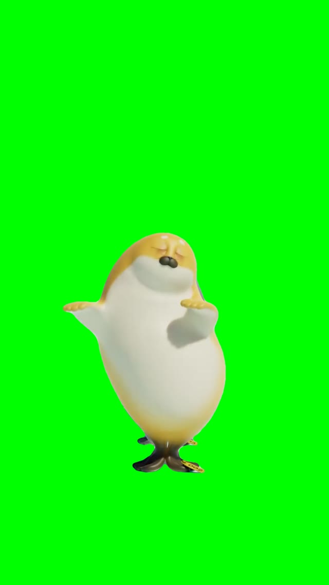 Sealion Relay dance green screen