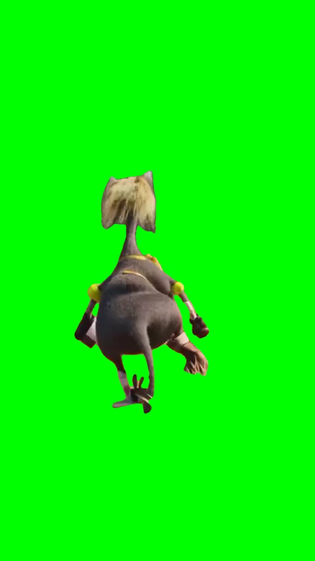 Shakira cat green screen
