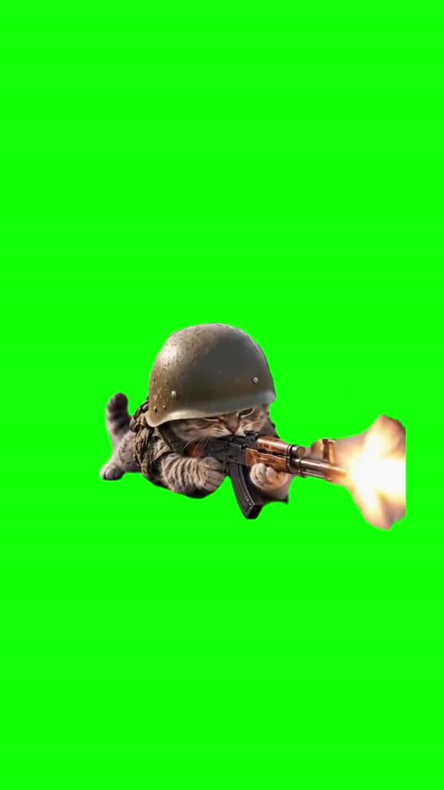 Soldier Cat Firing AK47 green screen