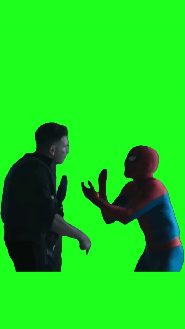 Spider Man Arguing With Punisher Brand New Day green screen