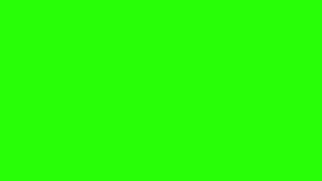SpongeBob SquarePants I Wish I Lived There green screen