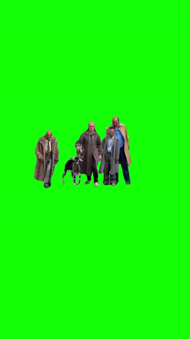 Squad Cat walk green screen