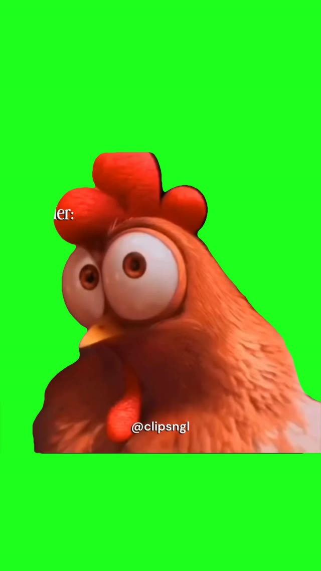 Sus Chicken green screen