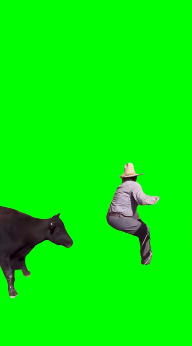 Tio twerking green screen