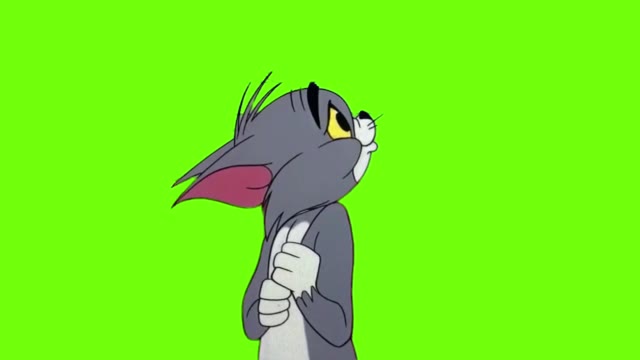 Tom and Jerry Tom crying green screen