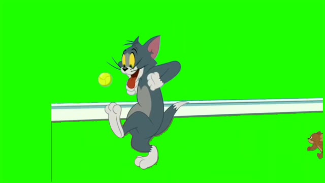 Tom and Jerry cartoon Green Screen green screen