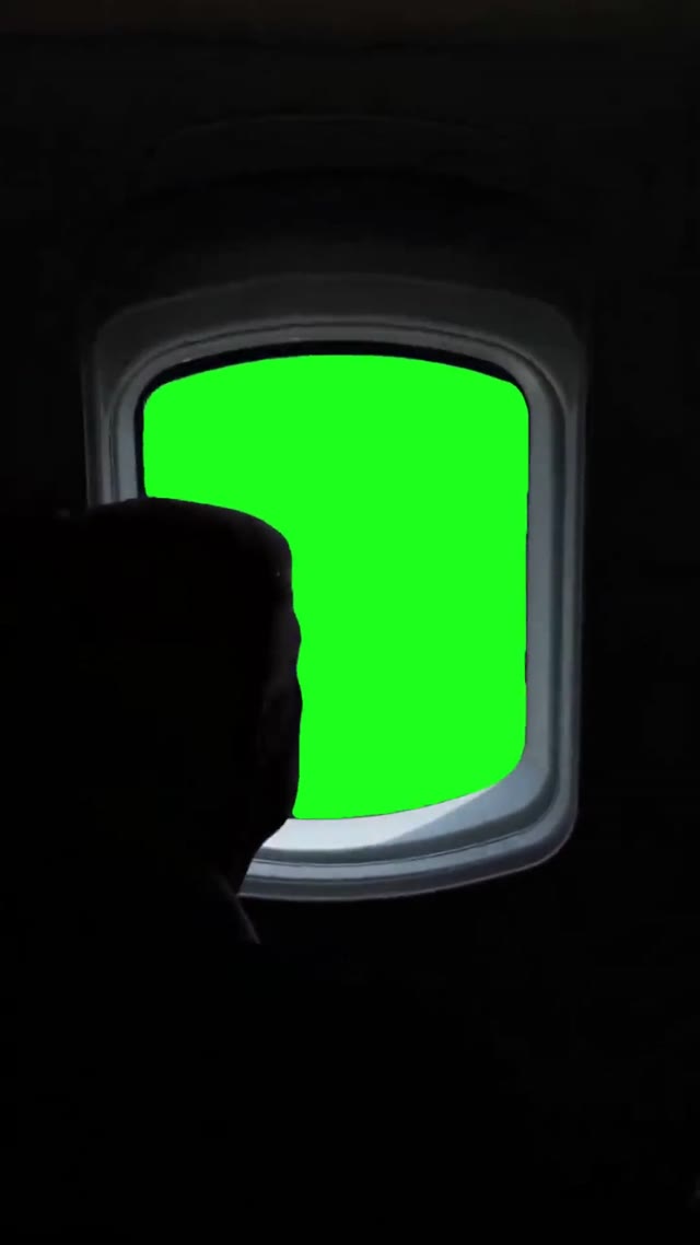 Trump Looking Out The Window green screen