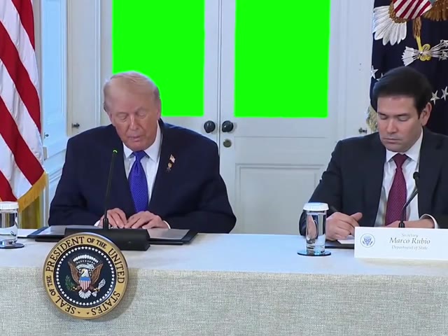 Trump looking out the window green screen